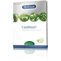 Cerebrum® (Vegetarian DHA)