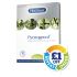 Pycnogenol