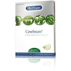Cerebrum